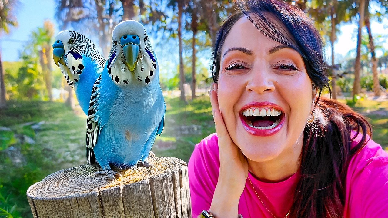 Me Dejaron Unos Pajaritos en la Puerta de La Finquita Bonita 😱❤️ Sandra Cires Vlog
