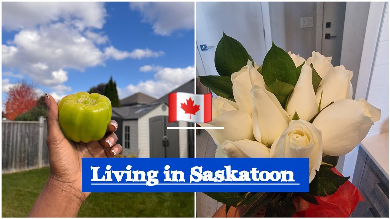 A Day in Saskatoon | Shopping at Midtown Mall & Food Adventures in Downtown Saskatoon #saskatoon 