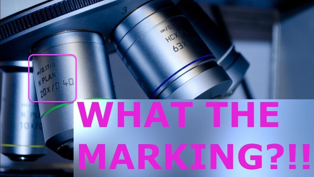 Deciphering microscope objectives