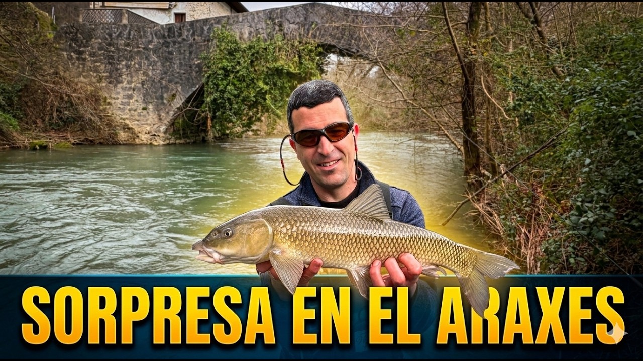 Pesca al hilo en el Araxes con sorpresa #flyfishing #pesca #catchandrelease #rainbow #trout