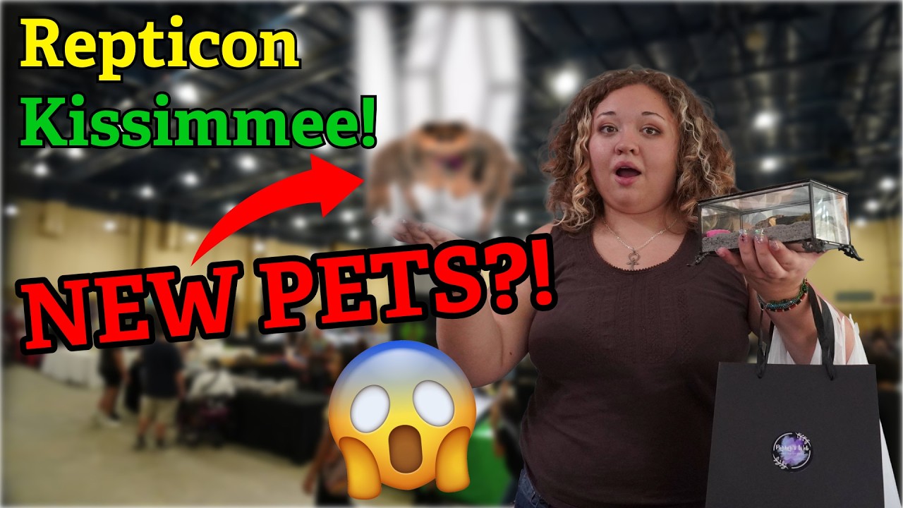 Это законно? Новые животные для коллекции! Repticon Kissimmee