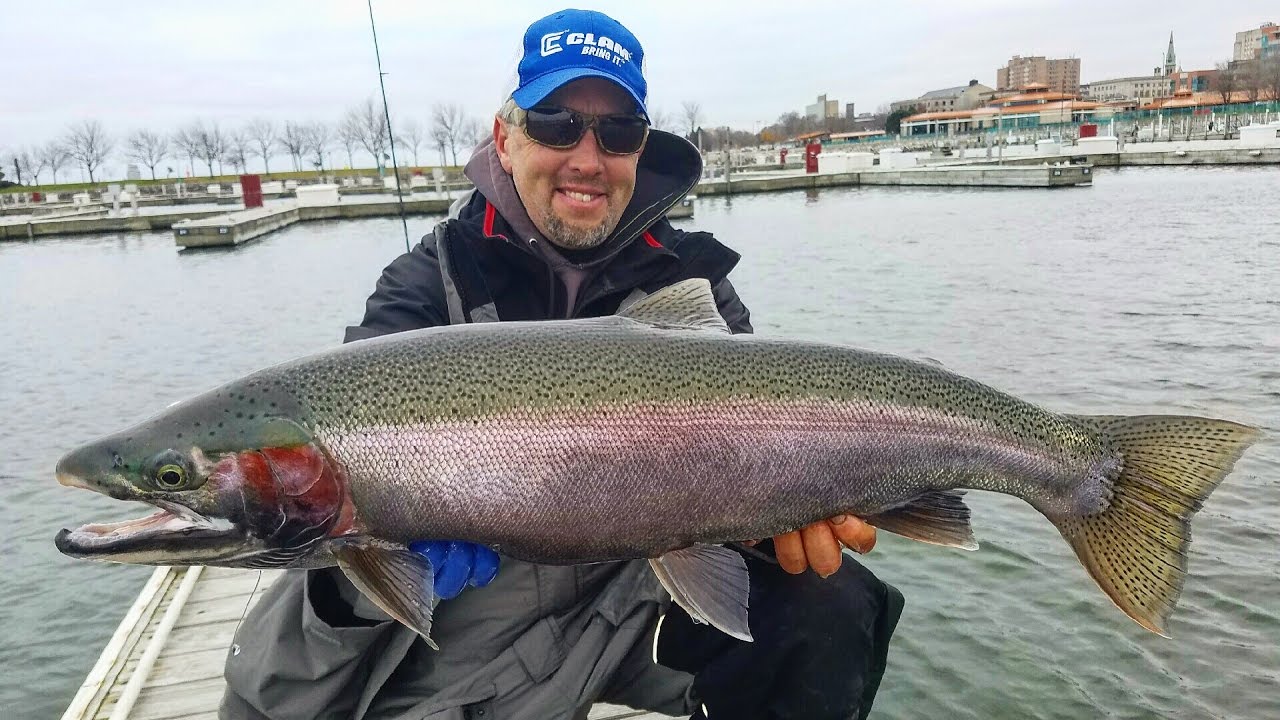 Shore Fishing Big Steelhead  ft. Bead Fishing