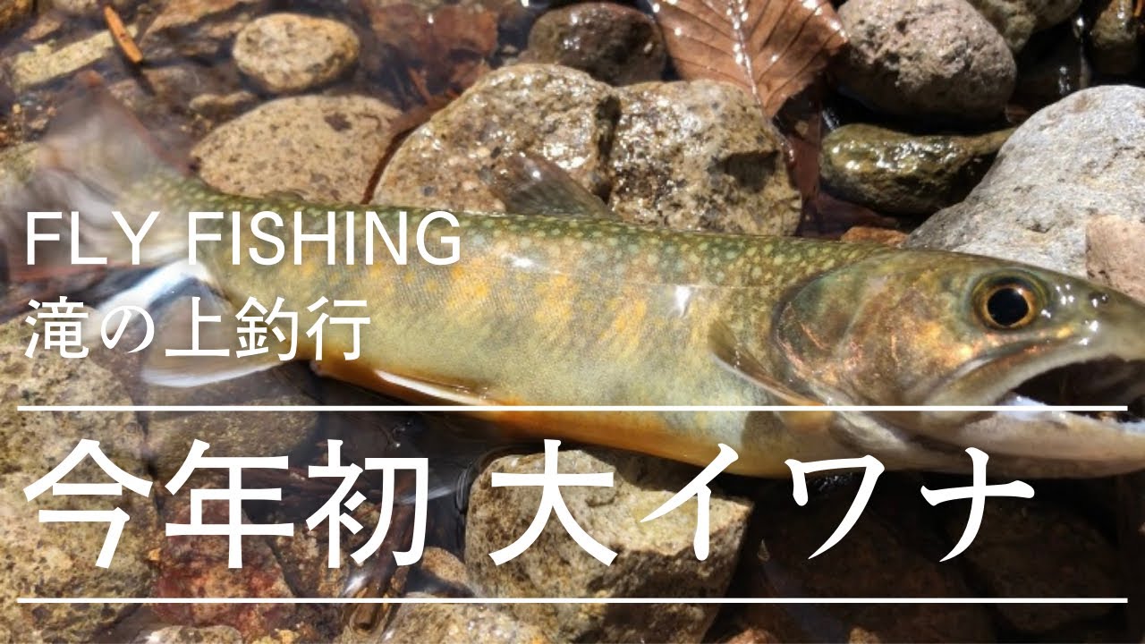 【渓流フライフィッシング】ロープを持って滝の上へ。険しい道のりの後には大きな喜びが待っていた！