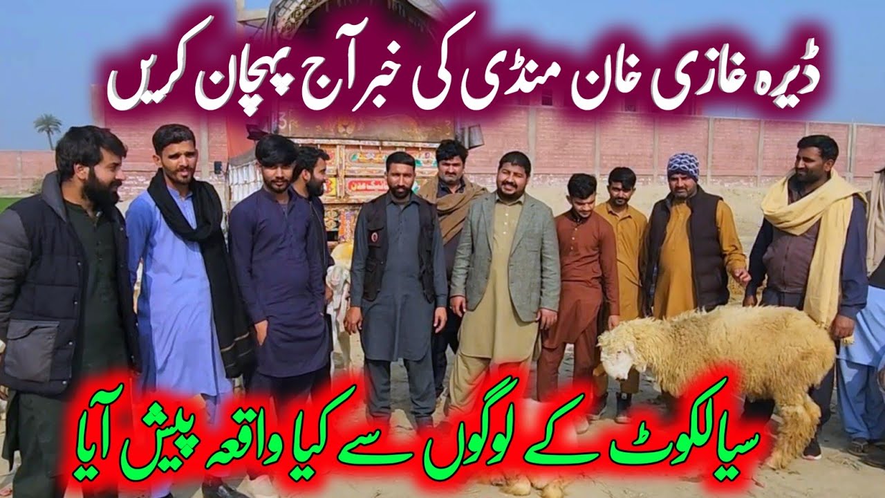 Dera Ghazi Khan ki mundra mandi ki khridari ||1 Mundra goat farm 16 January 2025