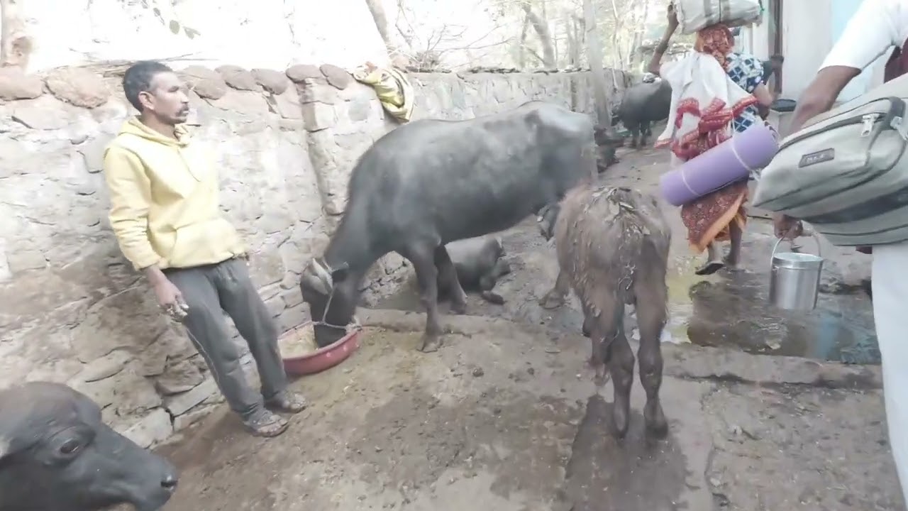 धारेश्वर से जंगल मार्ग होते हुए खेडपती हनुमान 
