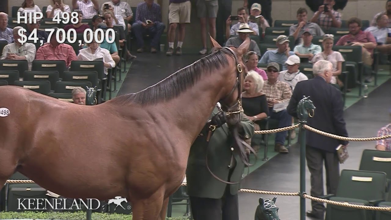 Hip 498 sells for $8.2 million at 2019 Keeneland September