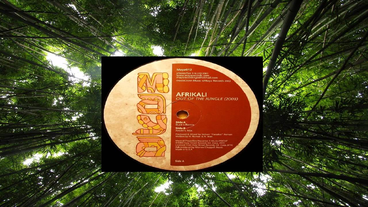 Afrikali - Out Of The Jungle 2003 (Side B Joeski S Mix) [Maya Records]