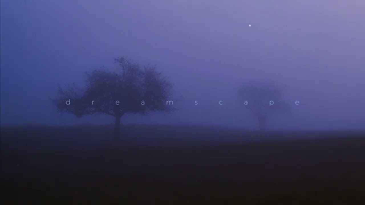 Trapeia - That's life (1hour)