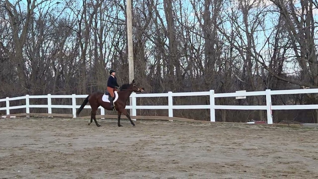 Callison Ames on Cals Girl 2.15.2026 RRP Flat Video 