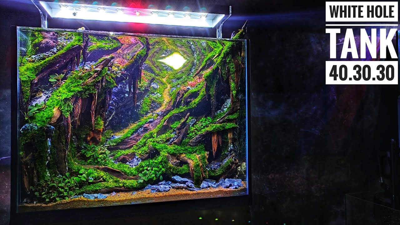 #245 Godzilla style mini Aquascape mark 4 