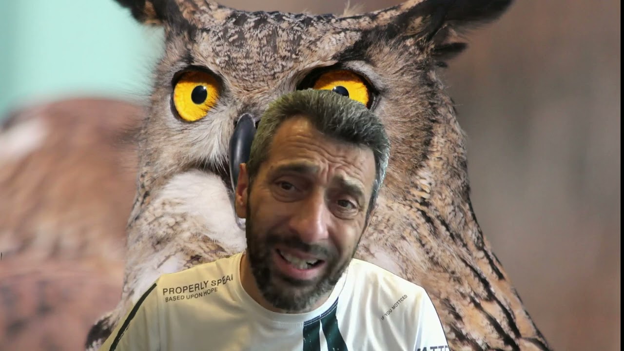 ΟΙ 10 ΕΧΘΡΟΙ ΤΩΝ ΠΟΥΛΙΩΝ ΜΑΣ  (THE MOST DANGEROUS ENEMIES OF THE CANARY)