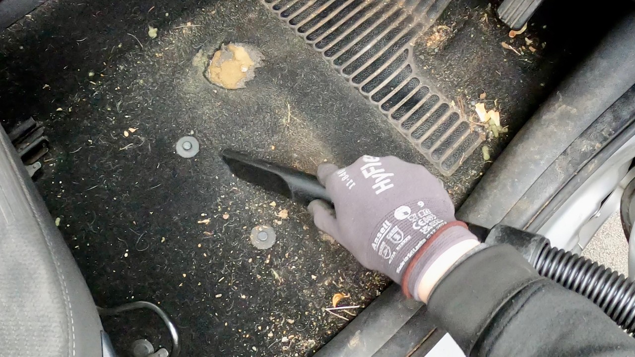 Bulldog Contaminated Interior Exhaustively Deep Cleaned