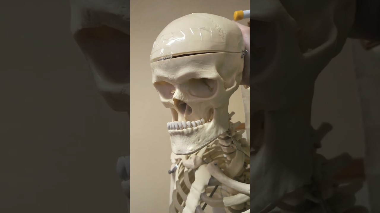How Tengu got redesigned:              Mewing skeleton meme | Mech Arena