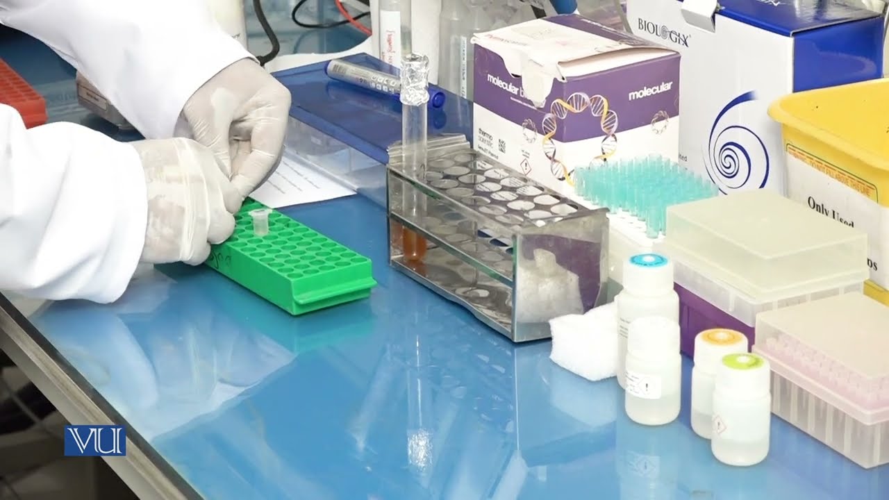 Isolation of Plasmid DNA from Bacteria | Methods in Molecular Biology (Practical) | MB504P_Topic013