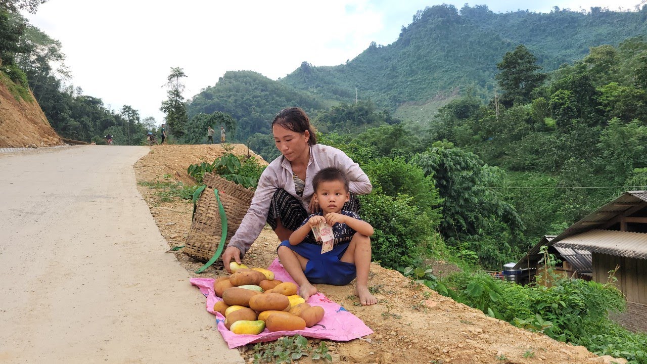 Single mother: Harvesting melons to sell & Raising children alone - Duong Mi