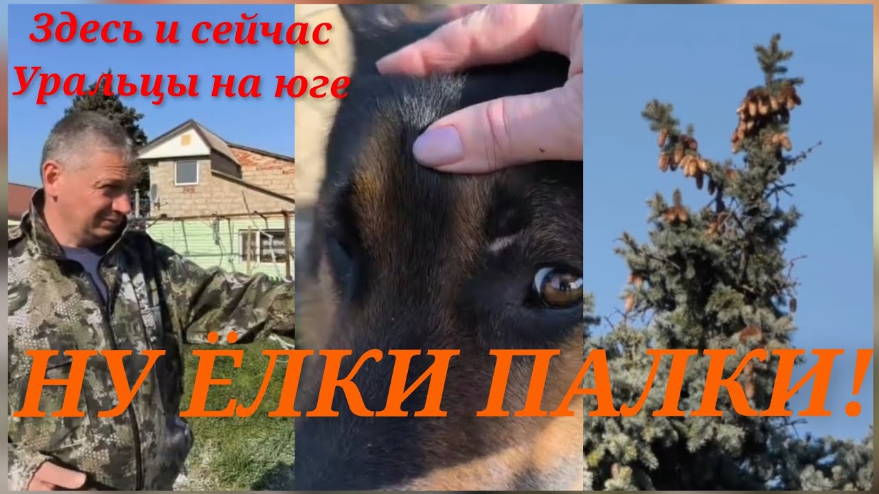 Легко и просто. Шрамы украшают мужчин. Мы не ИИ.