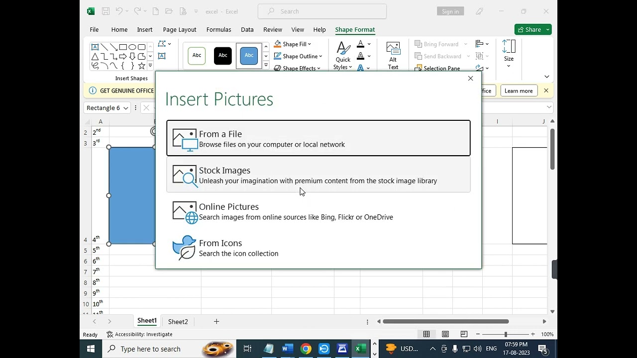 excel me image kese insert  karen