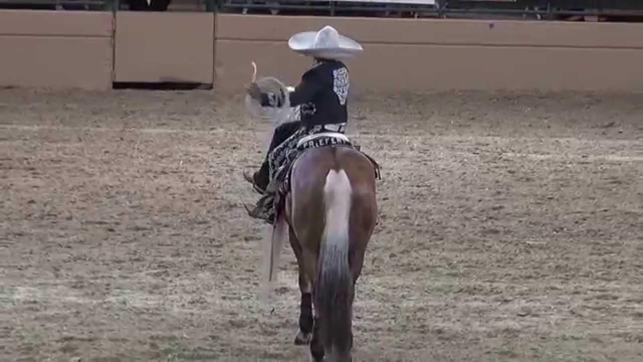 Tomas Garcilazo - Charro Tradicional - Night of the Horse 2014