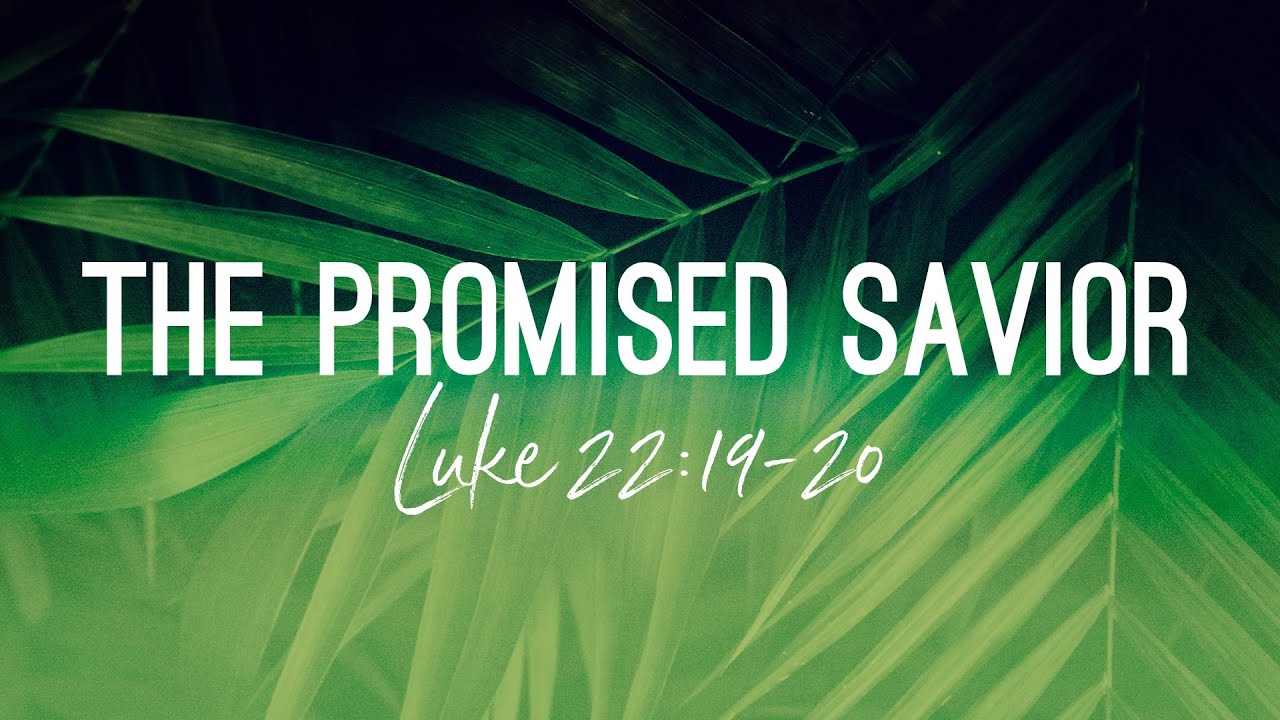 The Promised Savior