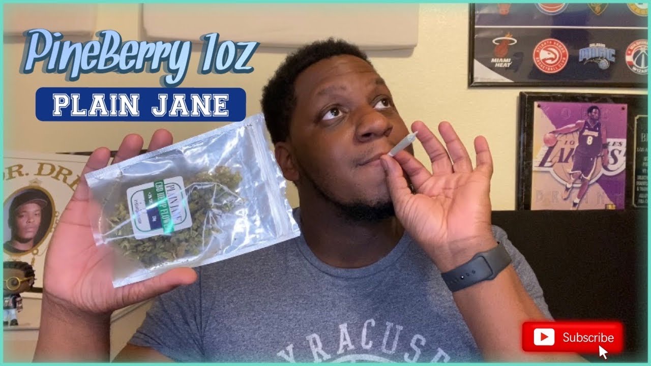 PineBerry Small Buds 1oz CBD Hemp Flower | Plain Jane 🌲🍇