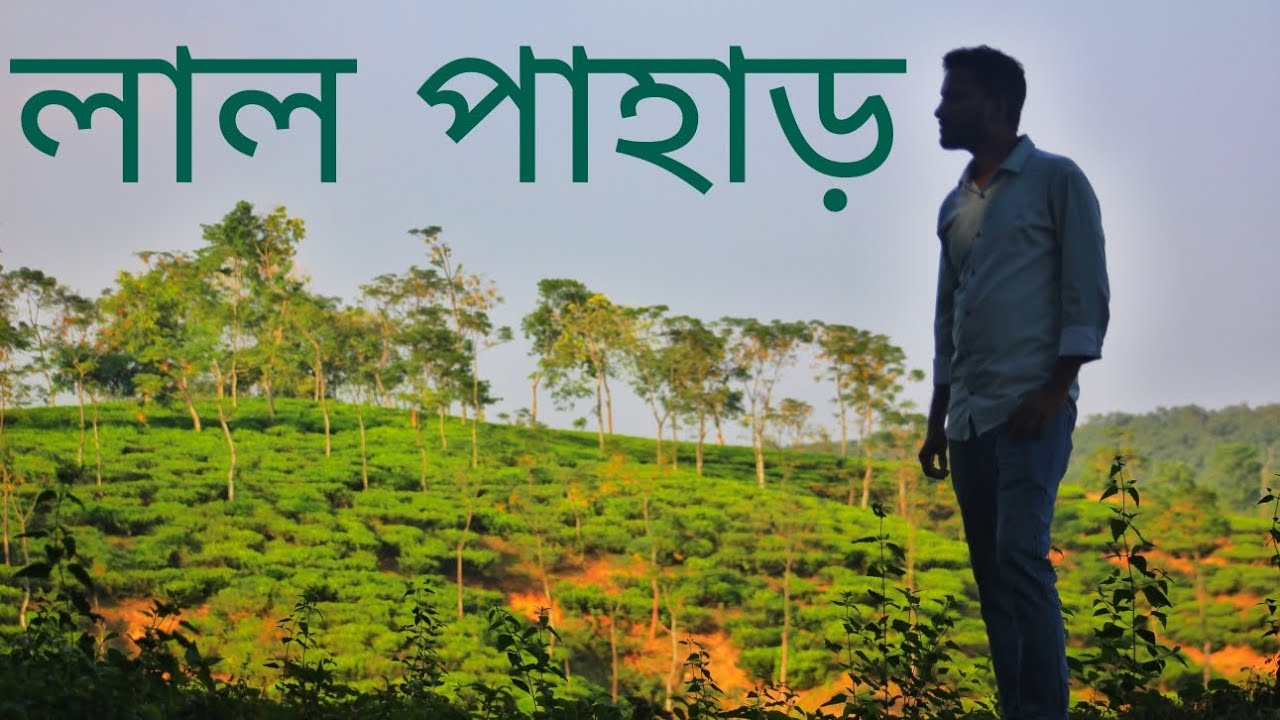 শ্রীমঙ্গলের লুকানো রত্ন: লাল পাহাড়ের গল্প।