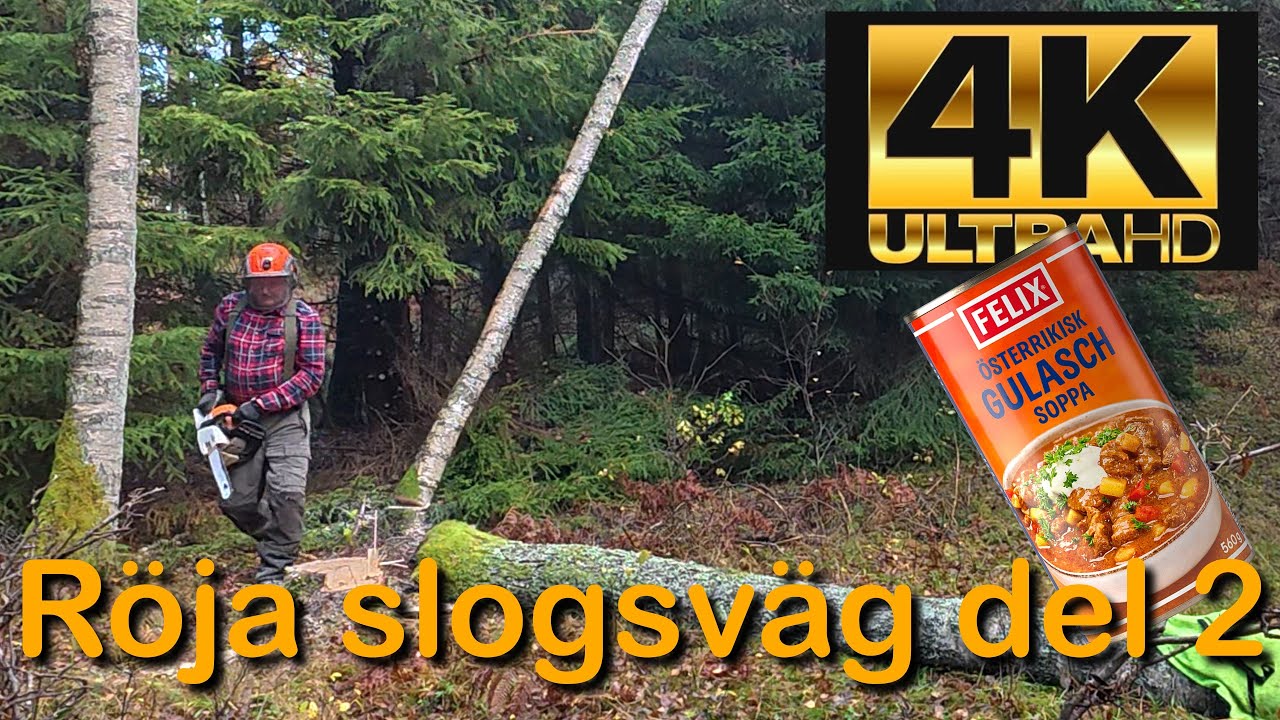 Röja Skogsväg del 2 (Fälla björkar och koka Felix Gulaschsoppa)