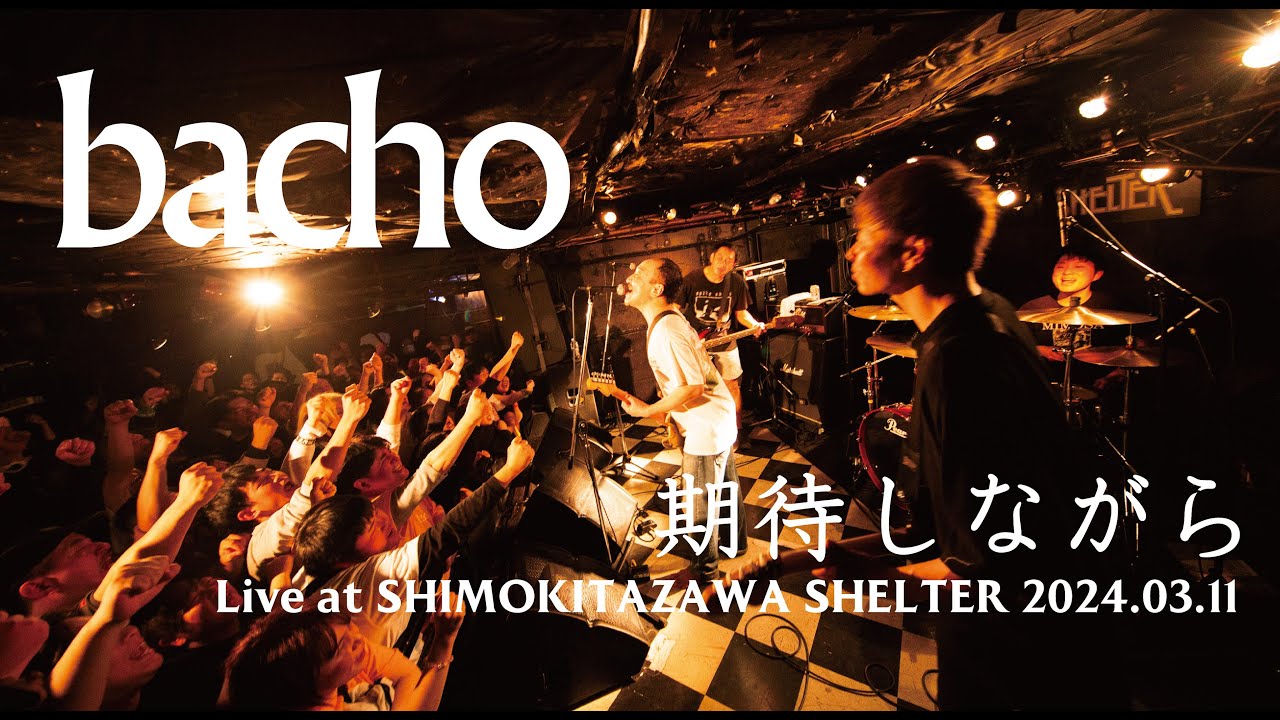 bacho - 期待しながら【 Live at 東京・下北沢SHELTER 2024.03.11 / 1MAN 2DAYS 