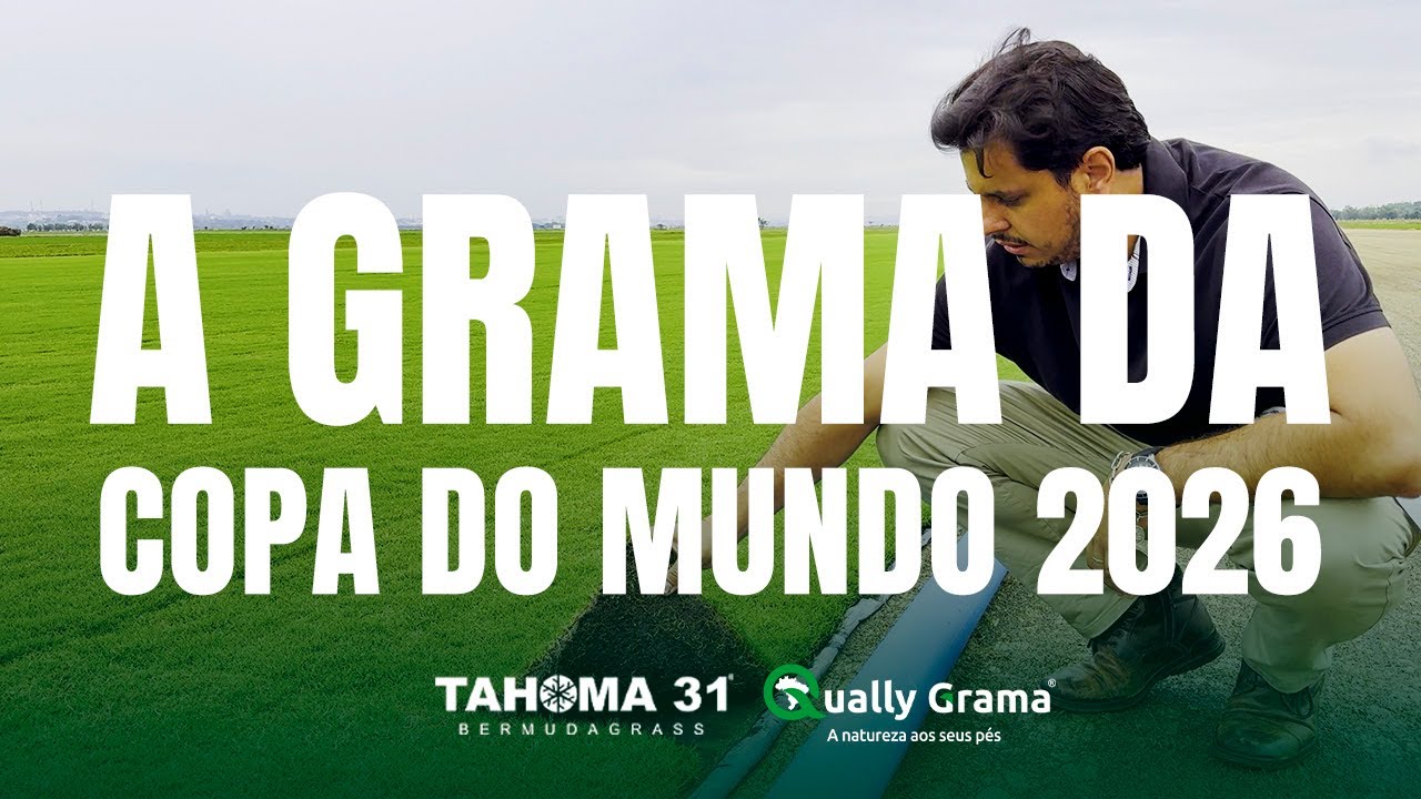 Tahoma Day: a grama da Copa do Mundo 2026 🏆🌿