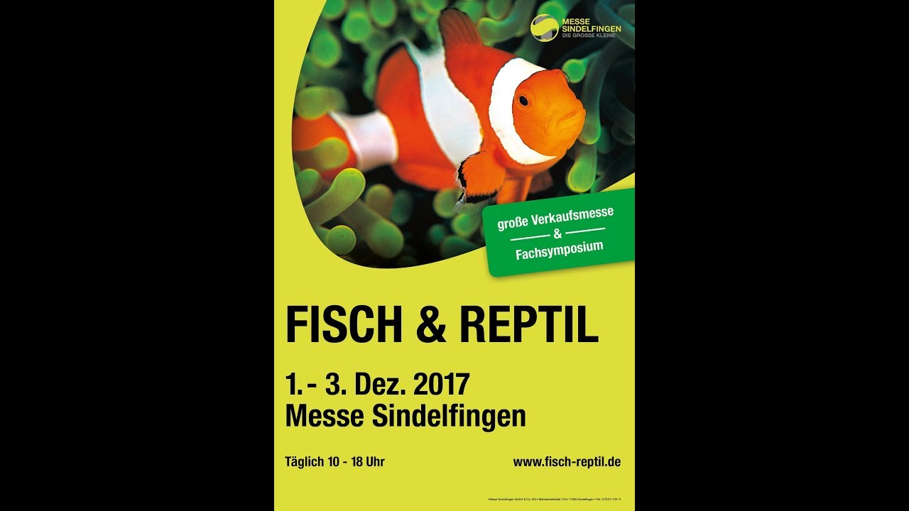 Fisch und Reptil in Sindelfingen 2017 /TAX