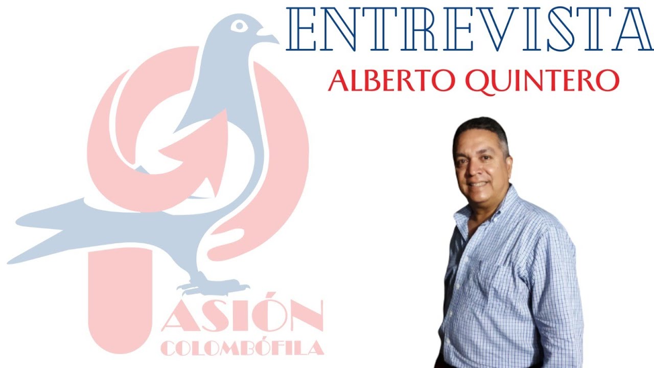 La Importancia de la Disciplina en las palomas, por el Campeón ALIANZA Tabasco Zac. 130 km  vs 4,363