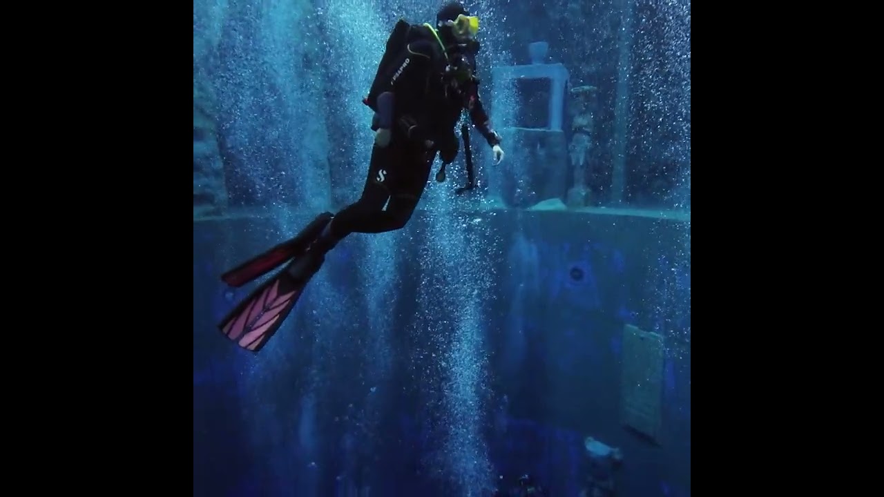 Dive4life - Germany's largest heated indoor diving pool