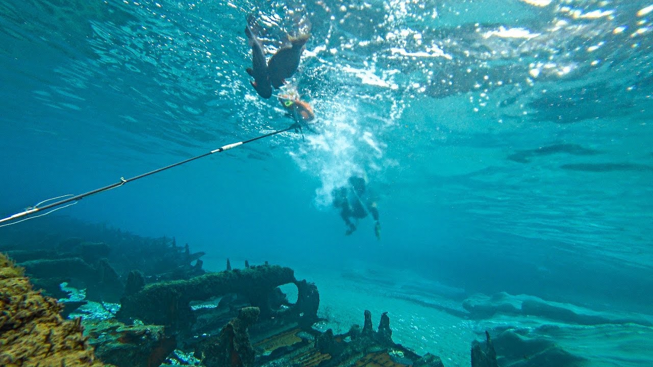 Searching for Groupers Spearfishing Remote Coastlines and Wrecks