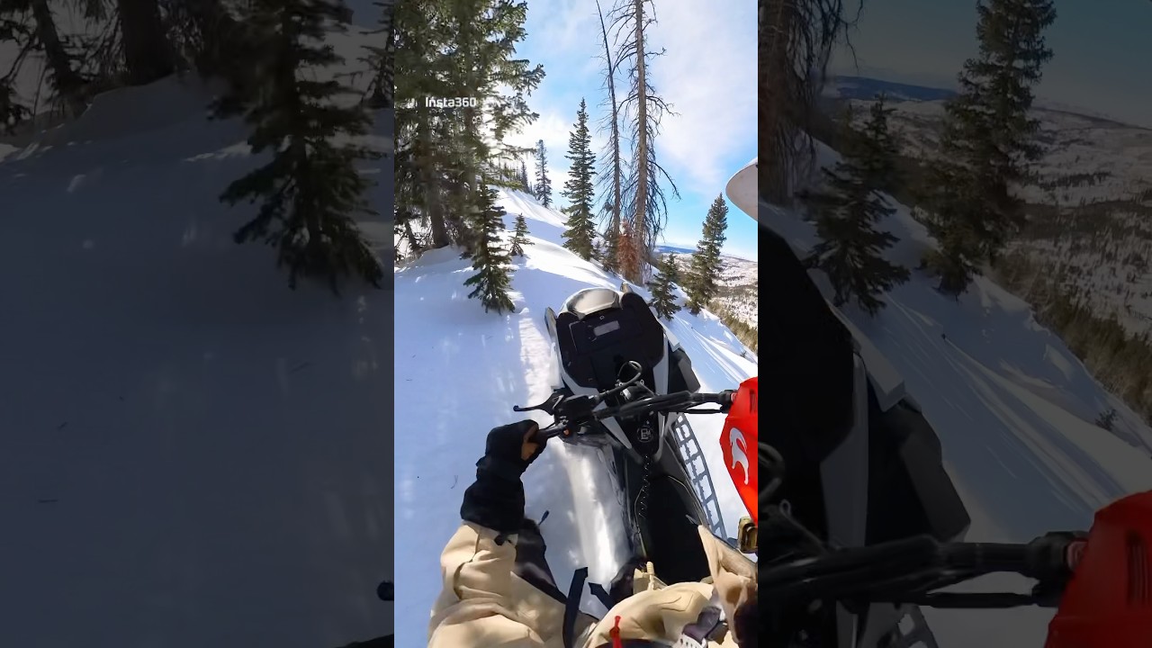 Trees be pulling me off my sled from time to time.