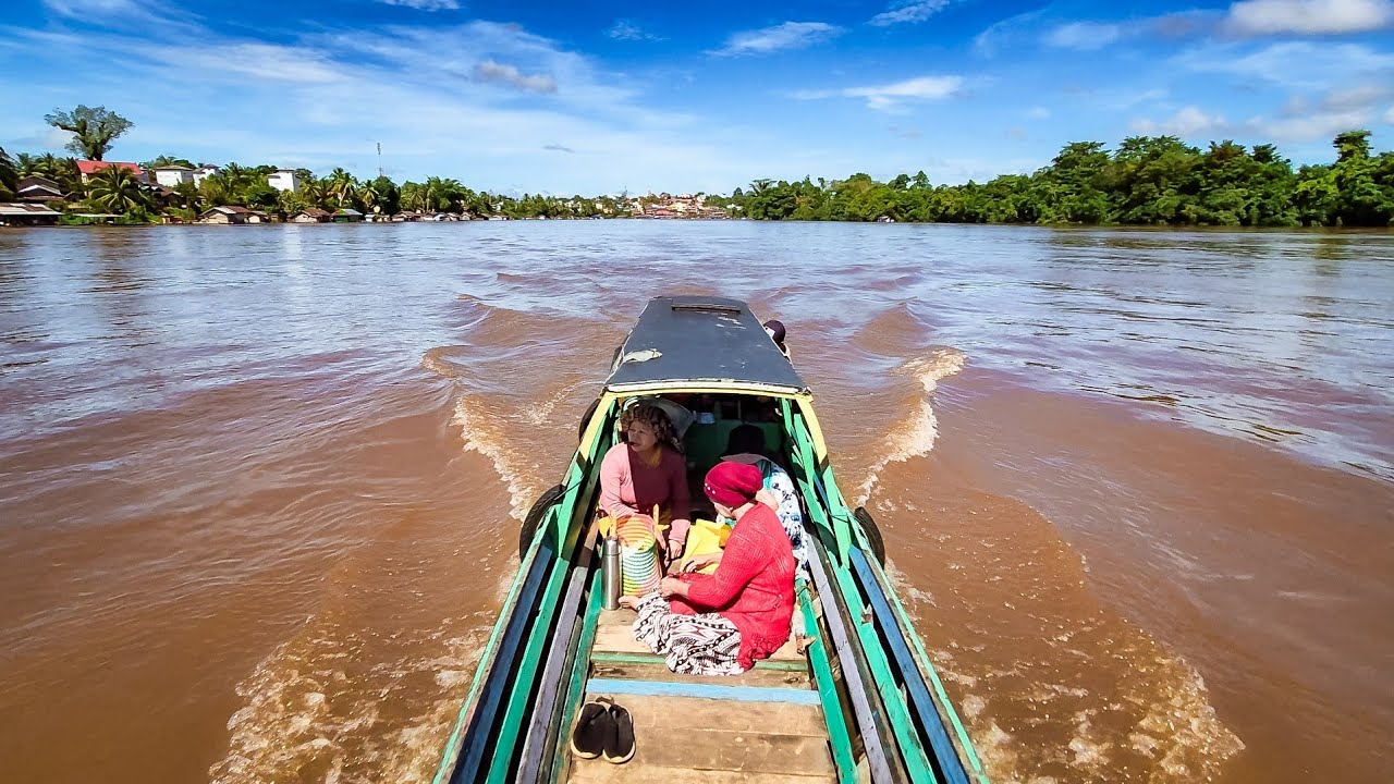 Petualangan ke pedalaman sungai barito kalimantan naik perahu kelotok