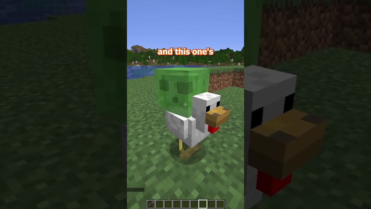 you can make ANYTHING ride chickens??? #minecraft