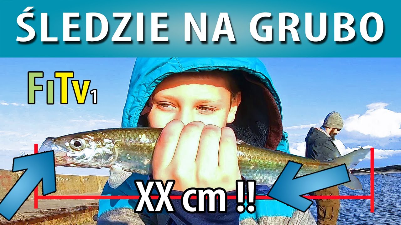 ŚLEDZIE ⚓ Śledziowe ELDORADO Władysławowo ★FiTvツ
