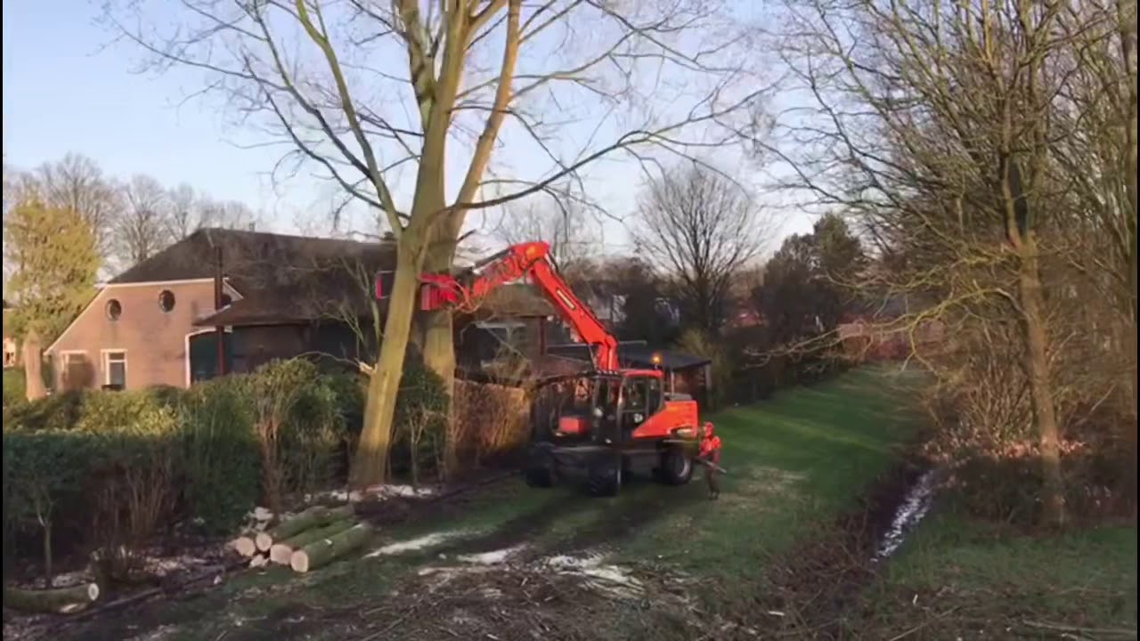 Boomrooierij Oving Buinen compilatie 2019/2020