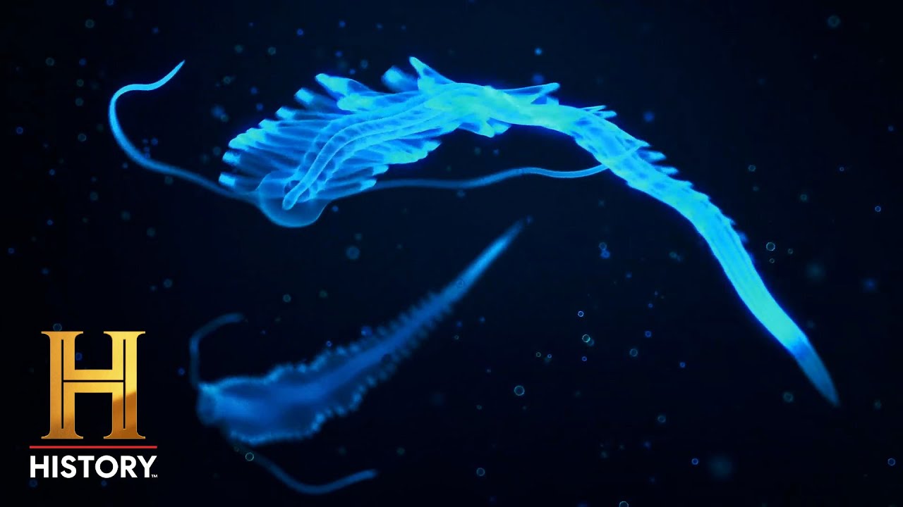 DEEP OCEAN LIGHTS Point to Alien Activity | The Proof is Out There: Bermuda Triangle | History