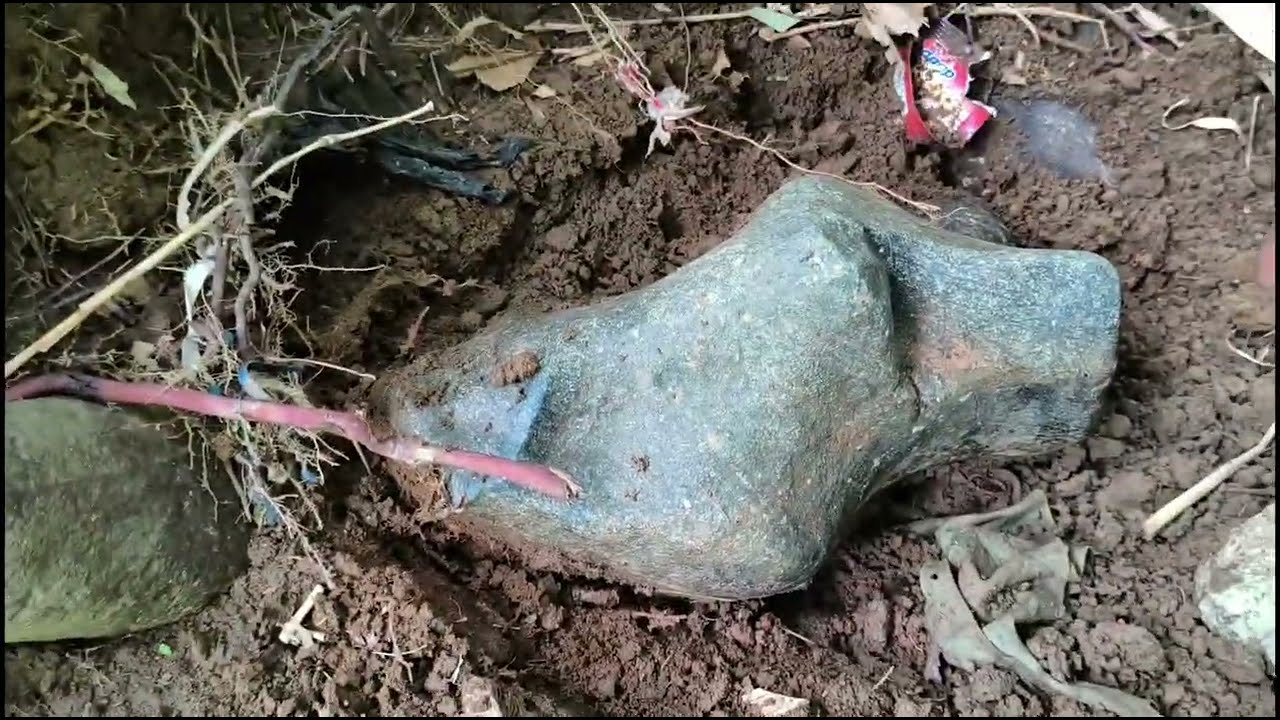 Batu keras hakus dengan Pola aneh bikin penasaran