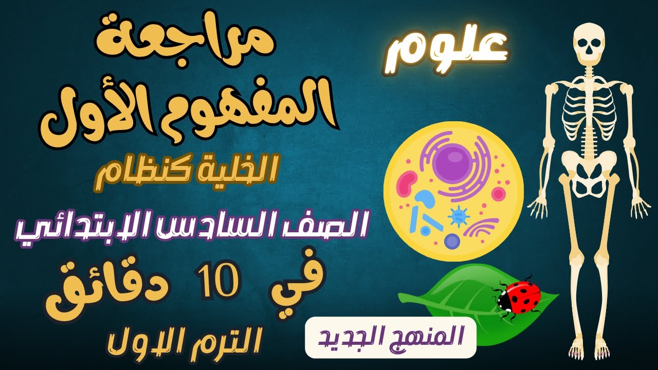مراجعة المفهوم الاول الخلية كنظام علوم الصف السادس الابتدائي الترم الاول المنهج الجديد 2025