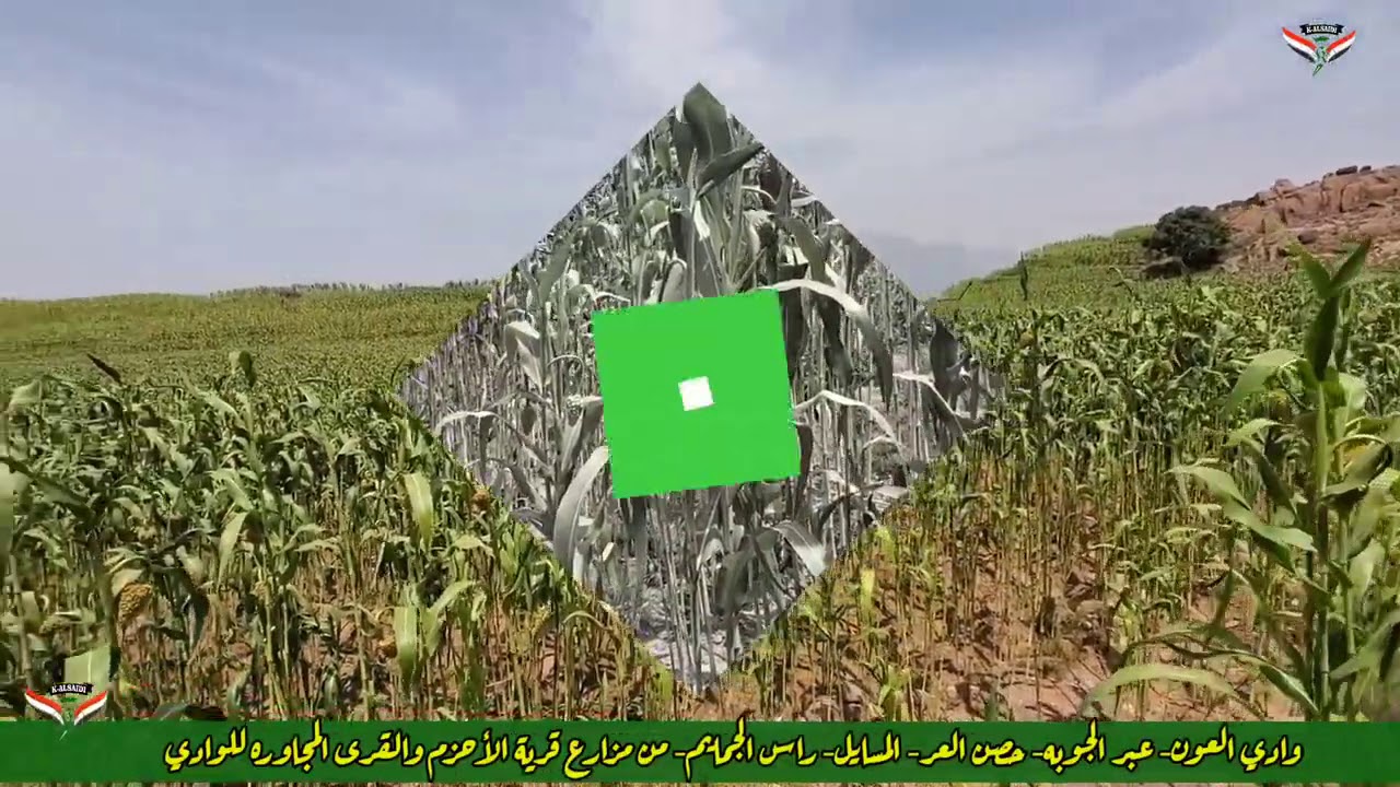 عبدالرحمن السماوي ومناظر لوادي العون وبعض القرى في سادس علان 2020 م