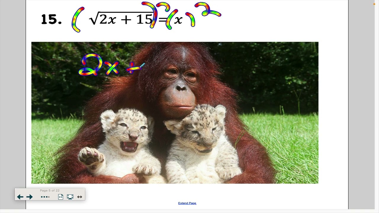March 13 (Algebra I)