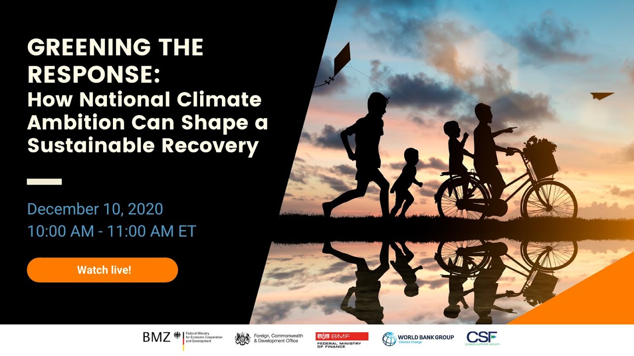 Greening the Response: How National Climate Ambition Can Shape a Sustainable Recovery