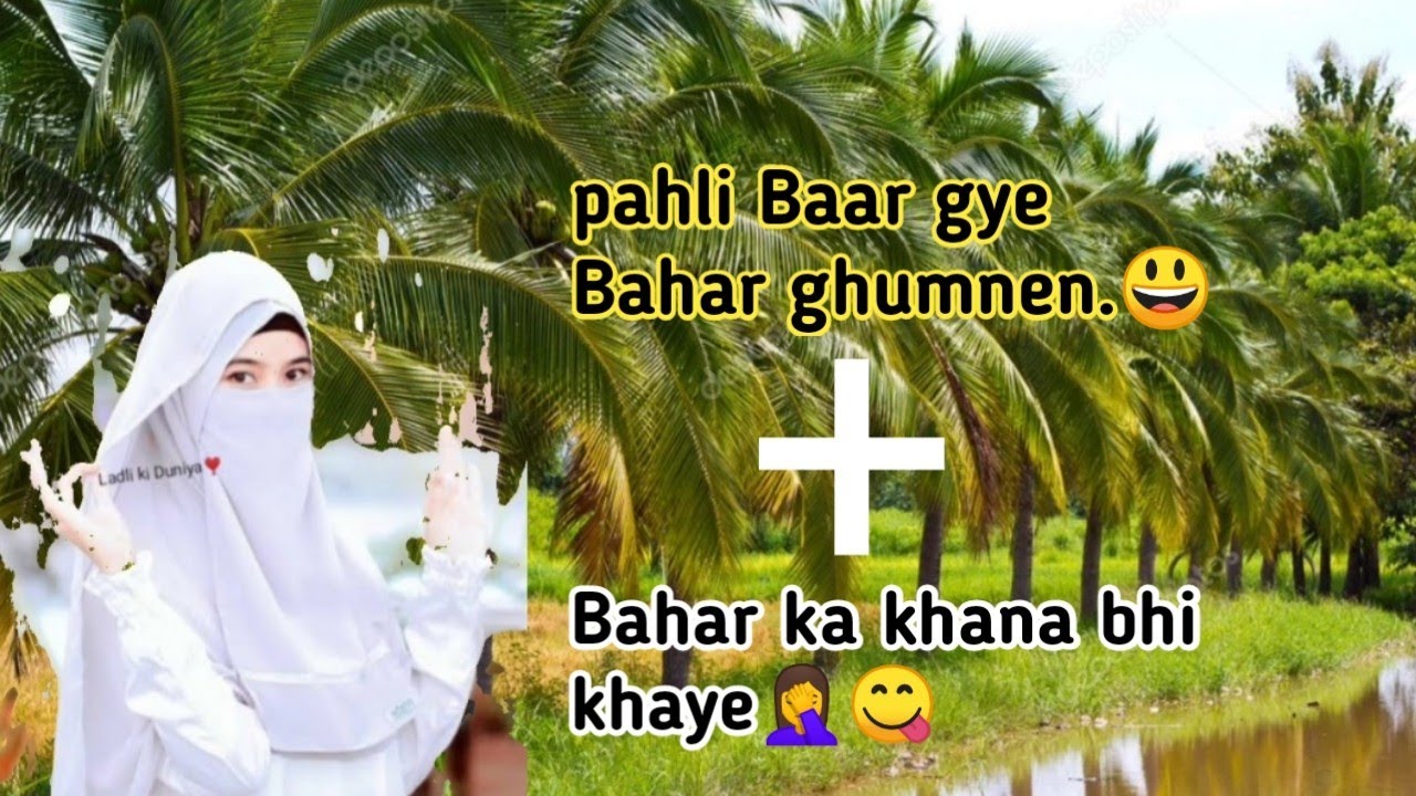 हम पहली बार गए धूमने🛣🦼🏝⛰️new minivlog