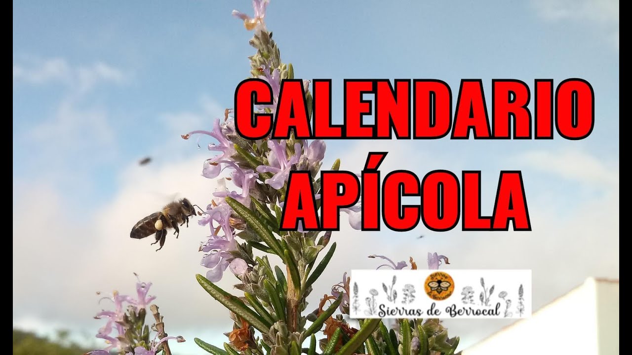 Calendario apícola