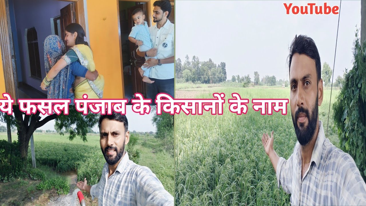 पंजाब बाढ़ से परेशान कृपया सहायता करें। 😯💰#Punjab badh @Deepuyadavvlogs11111 #vlogger 