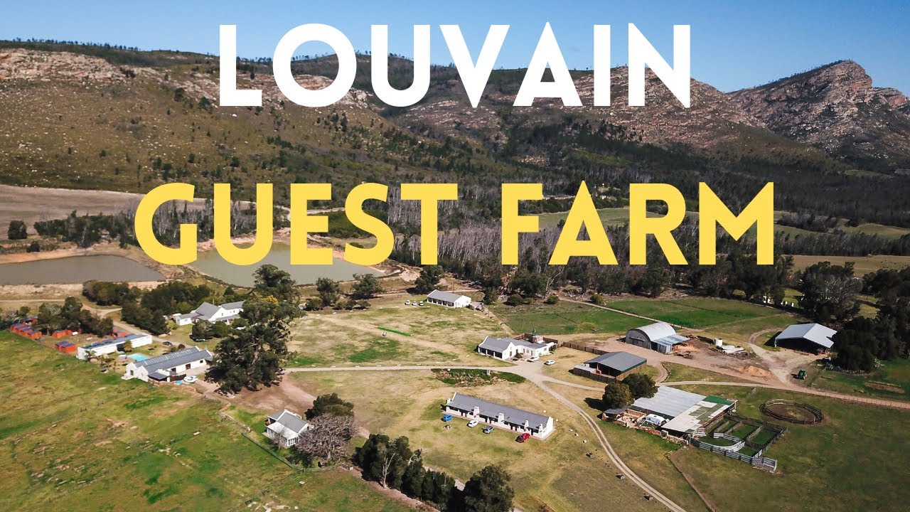 I visited Louvain Guest Farm!