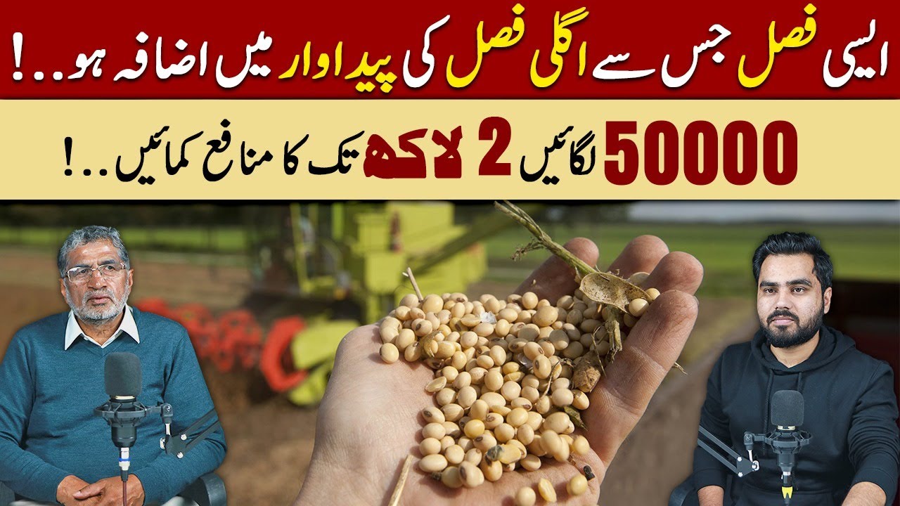 1 Acre Mein 2 Lac Ka Munafa! | Soybean Farming in Pakistan | AgriCast
