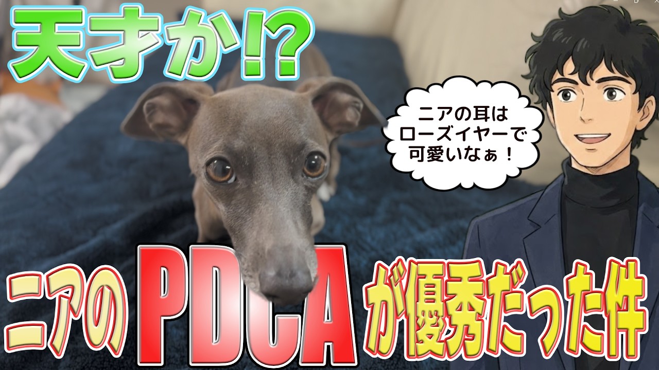 「失敗という概念がない」愛犬ニアから学ぶ、人生を成功させる最強マインドセット