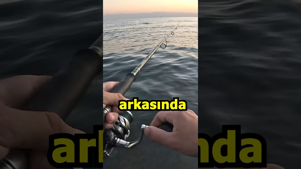 L&Uuml;FER İNANILMAZ SALDIRDI ! / At&ccedil;ek Spin LRF Balık Avı / L&uuml;fer Avı / Kofana Avı